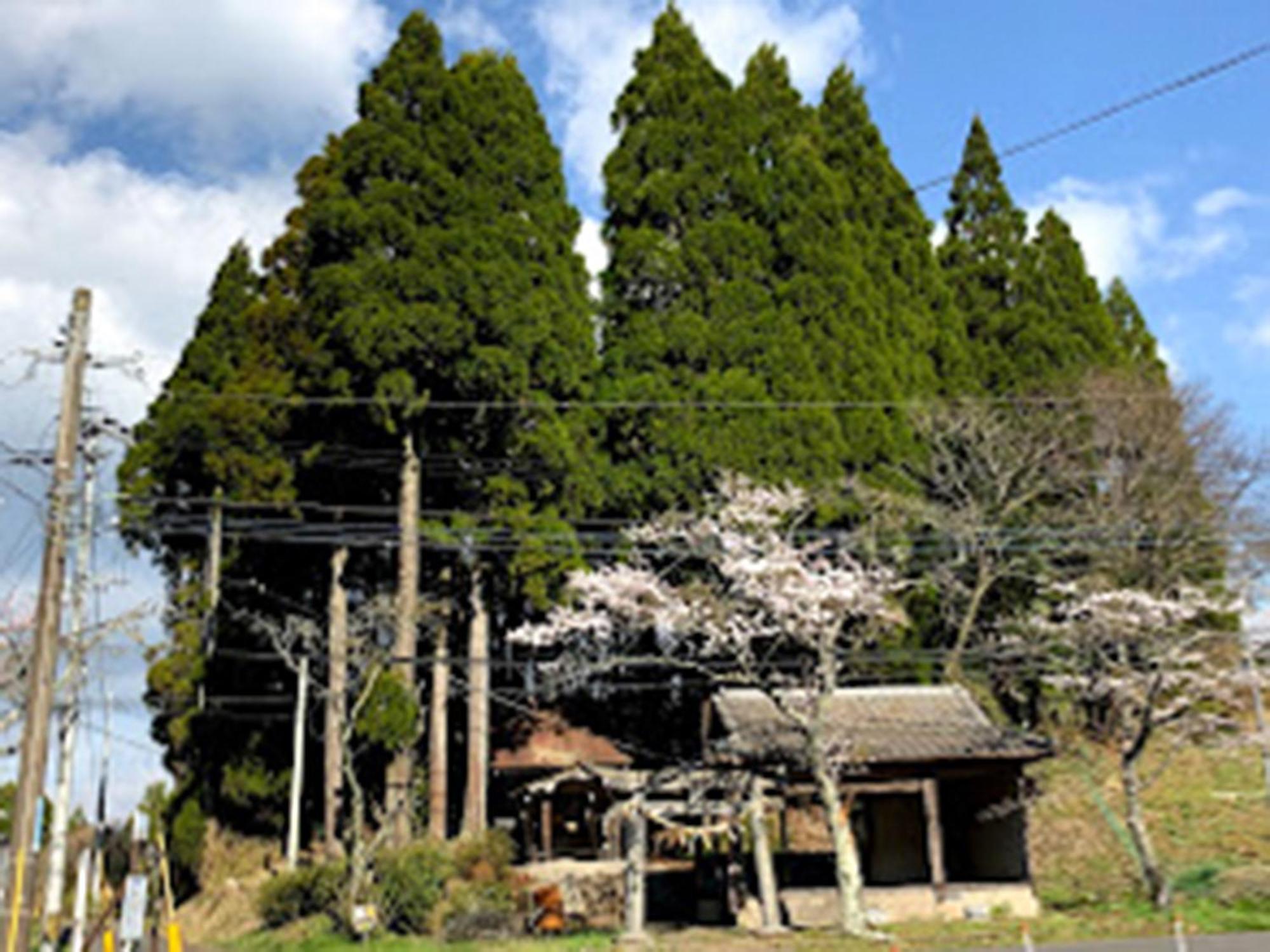 Kurihai Oita